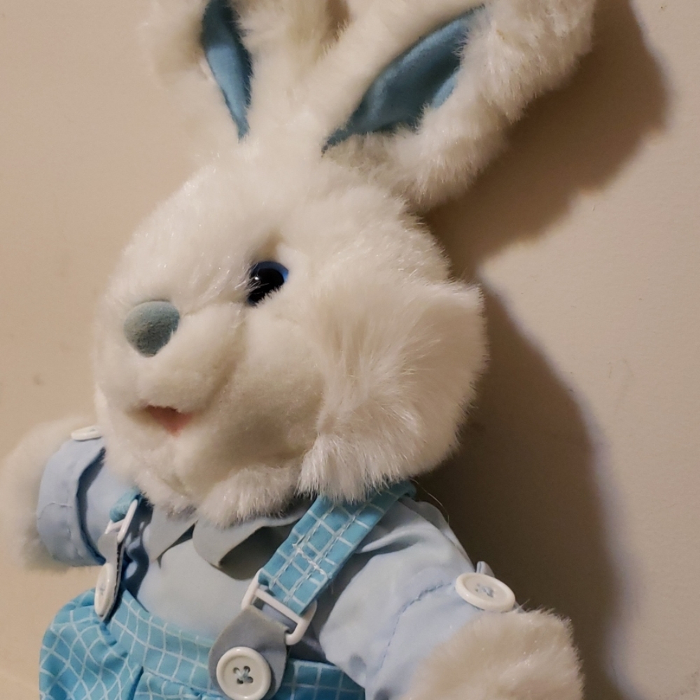 Small Rabbit - Picture 6 of 8
